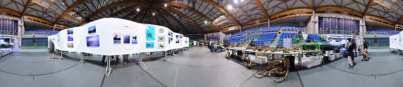 afc2009_pano5.jpg