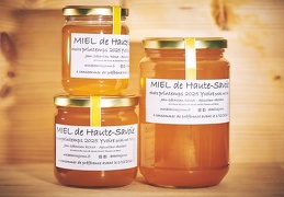 Miel printemps 2025