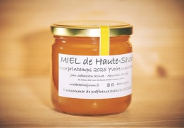 Miel printemps 2025