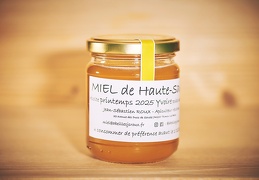 Miel printemps 2025