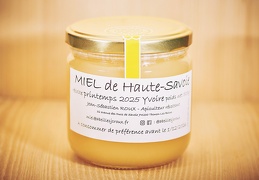 Miel printemps 2025