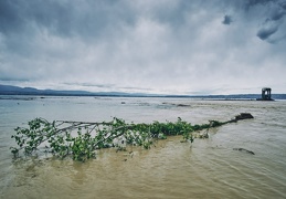 Embouchure de la Dranse, 2 mai 2015