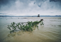 Embouchure de la Dranse, 2 mai 2015