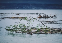 Embouchure de la Dranse, 2 mai 2015