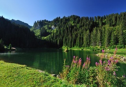 Châtel, lac des mouilles