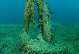 Dauphins amoureux