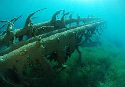 La longue travers&eacute;e