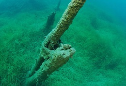 Prairie aux cactus