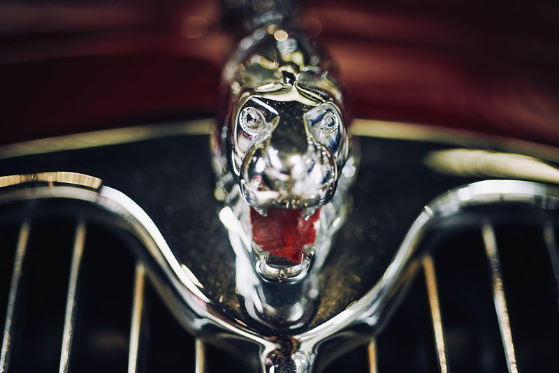 Sigle Peugeot - 815_9607.jpg 815_9607.jpg