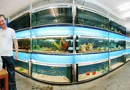 Panoramique 360° Swisscichlids Bienne