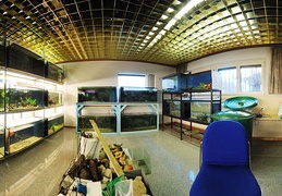 Panoramique 360° Swisscichlids Bienne