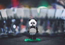 Panda, seul contre tous.