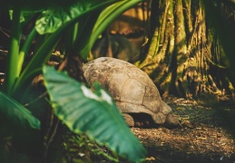 Au Zoo de Zurich