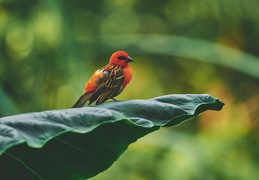 Au Zoo de Zurich