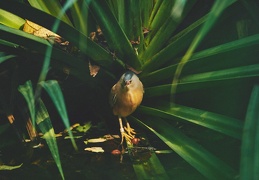 Au Zoo de Zurich