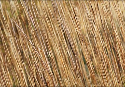 texture