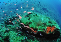 La Gabinière, Port Cros, Méditerranée