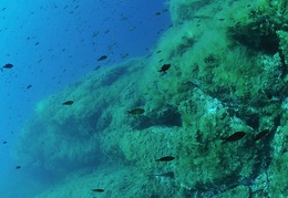 La Gabinière, Port Cros, Méditerranée