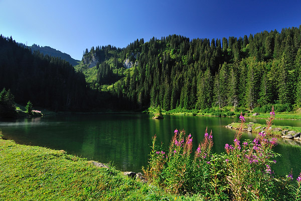 Lac de la Mouille, Châtel